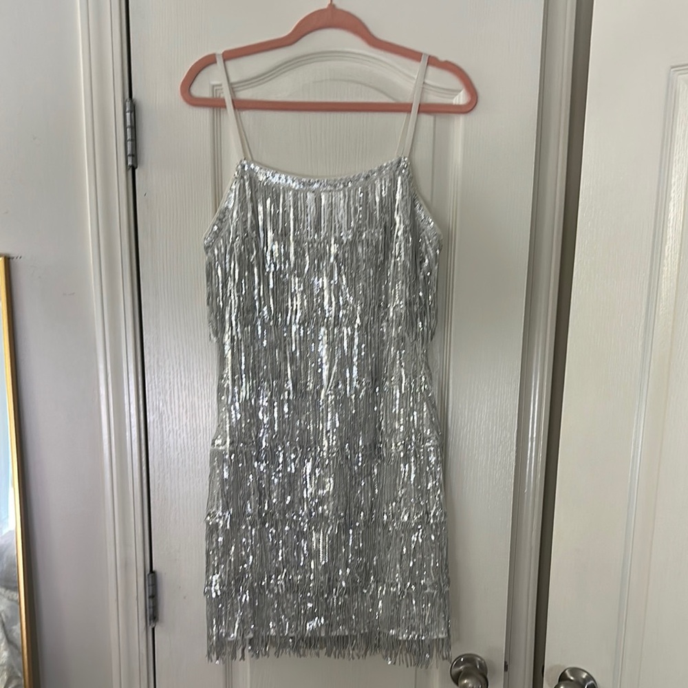 Silver Fringe Dress